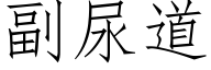 副尿道 (仿宋矢量字库)