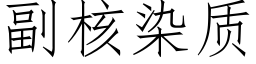 副核染質 (仿宋矢量字庫)