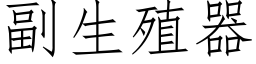 副生殖器 (仿宋矢量字庫)