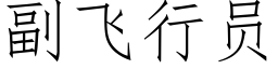 副飞行员 (仿宋矢量字库)