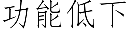 功能低下 (仿宋矢量字庫)