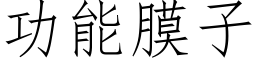 功能膜子 (仿宋矢量字庫)