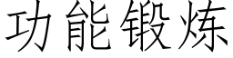 功能鍛煉 (仿宋矢量字庫)