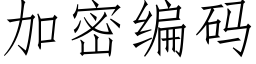 加密编码 (仿宋矢量字库)