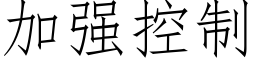 加強控制 (仿宋矢量字庫)