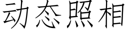 動态照相 (仿宋矢量字庫)