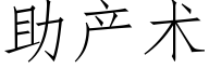 助産術 (仿宋矢量字庫)