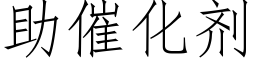 助催化劑 (仿宋矢量字庫)