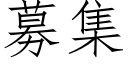 募集 (仿宋矢量字库)