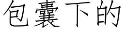 包囊下的 (仿宋矢量字库)