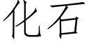 化石 (仿宋矢量字库)