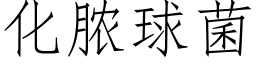 化脓球菌 (仿宋矢量字库)