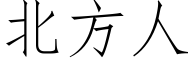 北方人 (仿宋矢量字库)