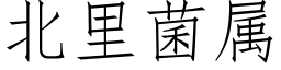 北裡菌屬 (仿宋矢量字庫)