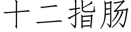 十二指肠 (仿宋矢量字库)