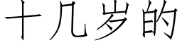 十幾歲的 (仿宋矢量字庫)