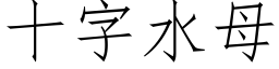 十字水母 (仿宋矢量字庫)