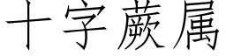 十字蕨属 (仿宋矢量字库)