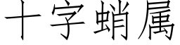 十字蛸属 (仿宋矢量字库)