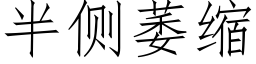 半侧萎缩 (仿宋矢量字库)