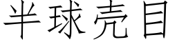 半球壳目 (仿宋矢量字库)