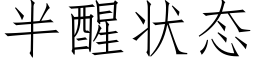 半醒状态 (仿宋矢量字库)