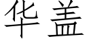 华盖 (仿宋矢量字库)