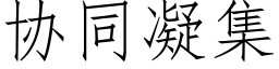 协同凝集 (仿宋矢量字库)