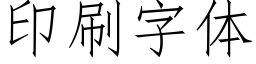 印刷字体 (仿宋矢量字库)