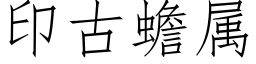 印古蟾属 (仿宋矢量字库)