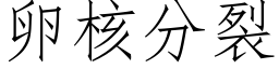 卵核分裂 (仿宋矢量字库)