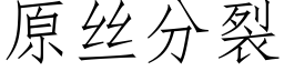 原丝分裂 (仿宋矢量字库)