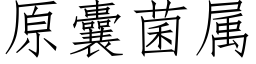 原囊菌属 (仿宋矢量字库)