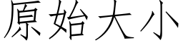 原始大小 (仿宋矢量字库)