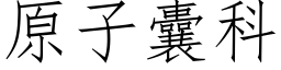 原子囊科 (仿宋矢量字庫)