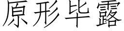 原形畢露 (仿宋矢量字庫)