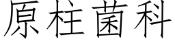 原柱菌科 (仿宋矢量字庫)