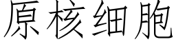 原核细胞 (仿宋矢量字库)