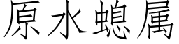 原水螅属 (仿宋矢量字库)