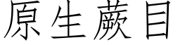 原生蕨目 (仿宋矢量字庫)