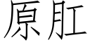 原肛 (仿宋矢量字库)