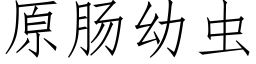 原肠幼虫 (仿宋矢量字库)