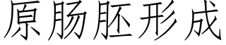 原肠胚形成 (仿宋矢量字库)