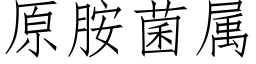原胺菌属 (仿宋矢量字库)