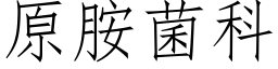 原胺菌科 (仿宋矢量字库)