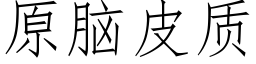 原脑皮质 (仿宋矢量字库)