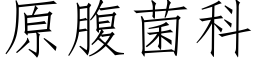 原腹菌科 (仿宋矢量字庫)