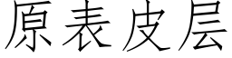 原表皮层 (仿宋矢量字库)