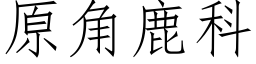 原角鹿科 (仿宋矢量字库)