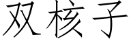 雙核子 (仿宋矢量字庫)